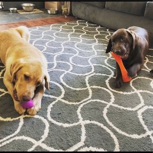 Meet your Posher, Katy